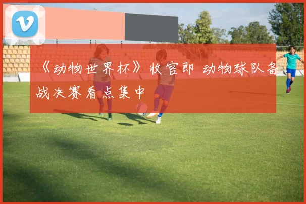 《动物世界杯》收官即 动物球队备战决赛看点集中